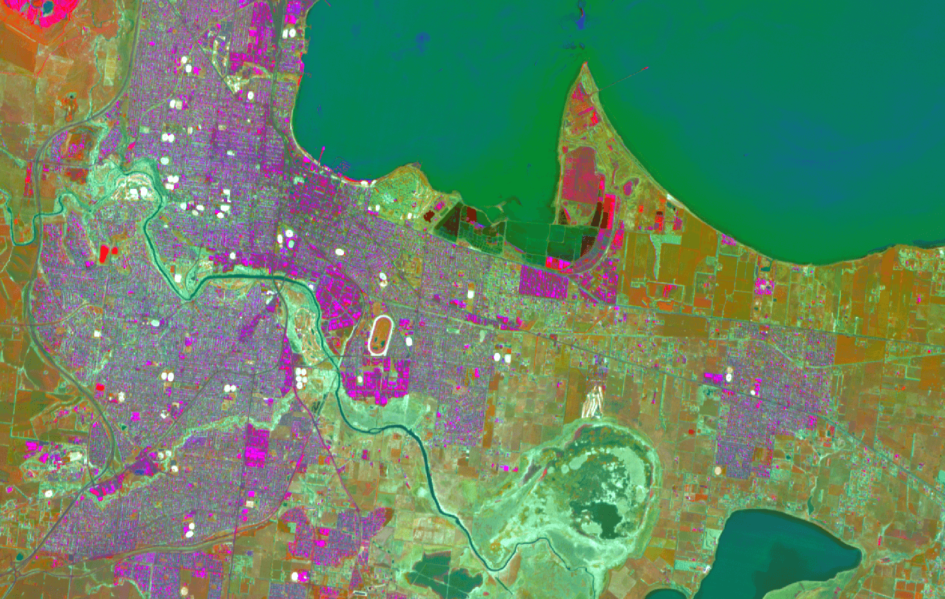 Wyvern Geelong PCA — 2025-03-19