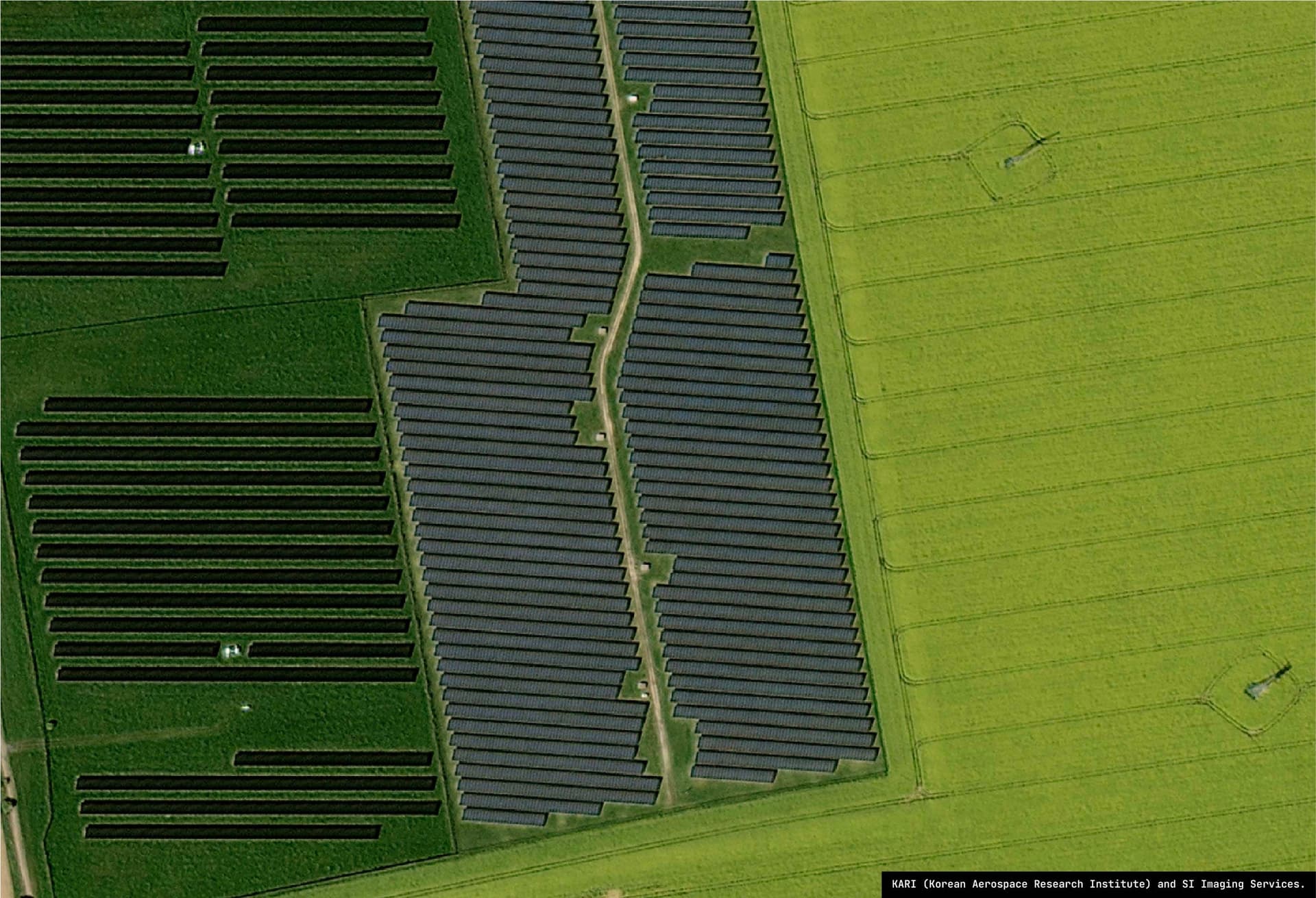 Solar panel farm scene