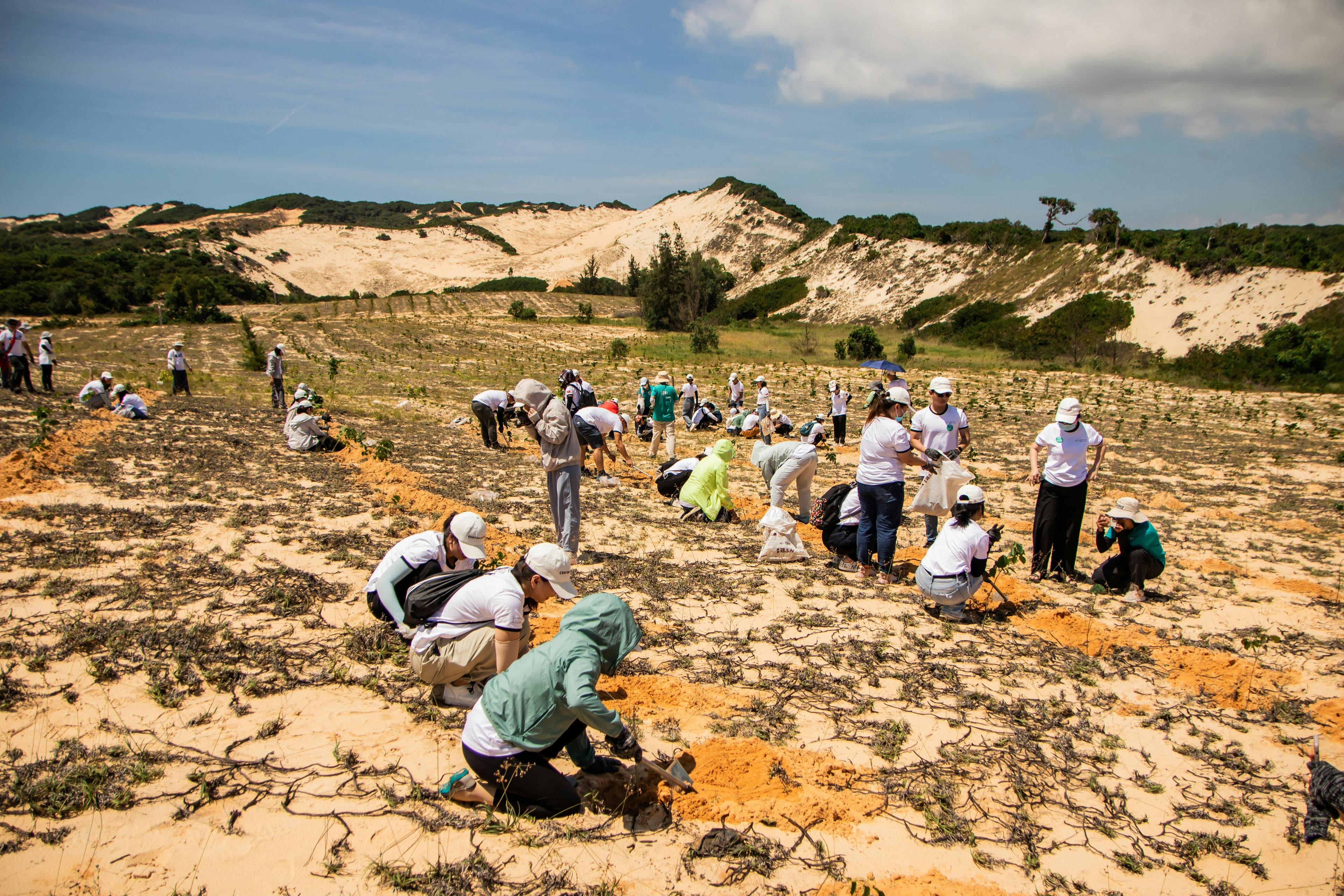 Revegetation works