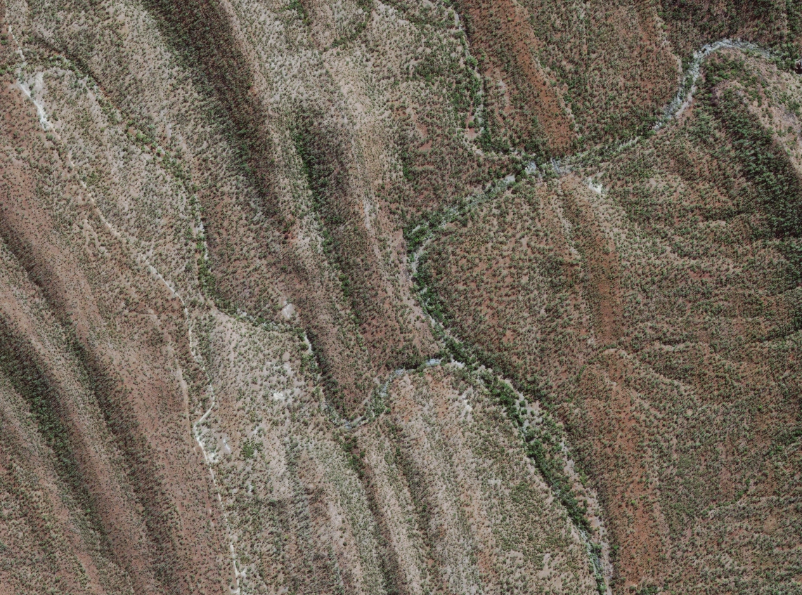 Satellite image of arid ridges and gullies cut by branching drainage lines