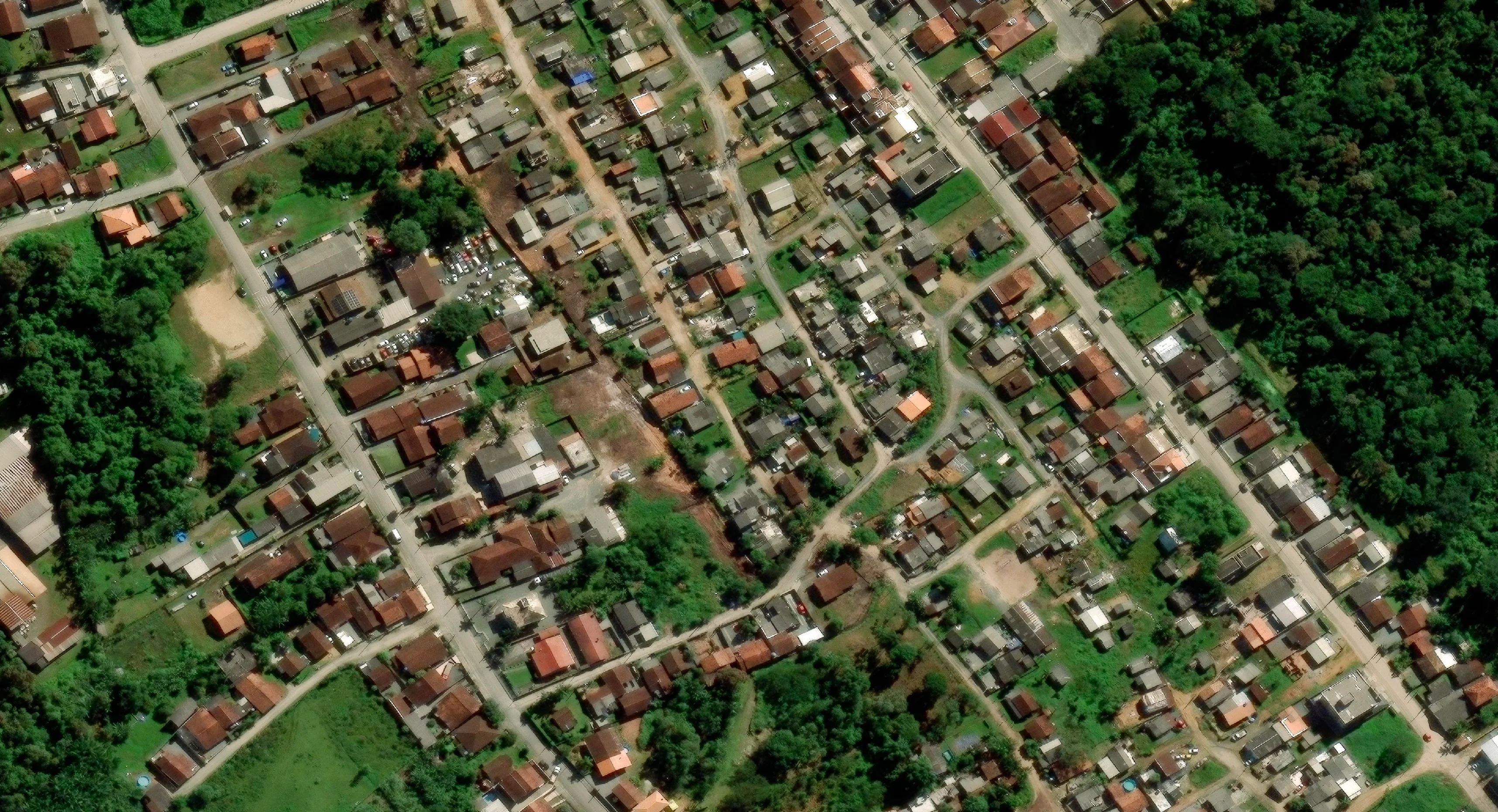 Vivid Mosaic satellite basemap showing individual house roofs, yards and streets beside forest