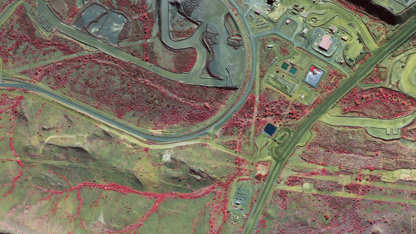 Color-infrared satellite image showing vegetation health near Newman, Western Australia