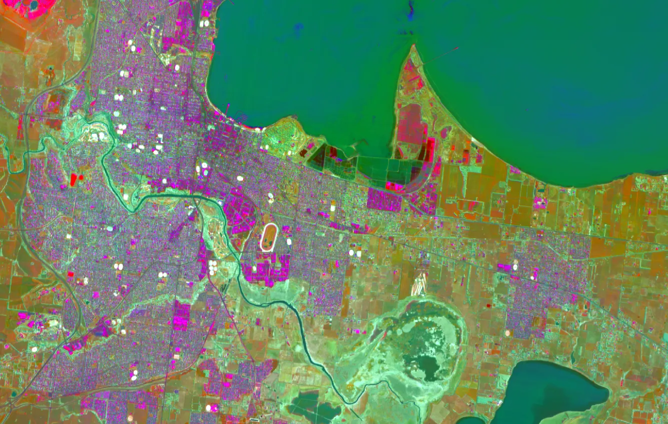 Wyvern Geelong PCA — 2025-03-19