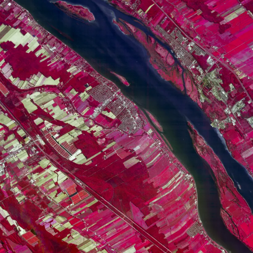 Hyperspectral imagery visualising vegetation differences over site.