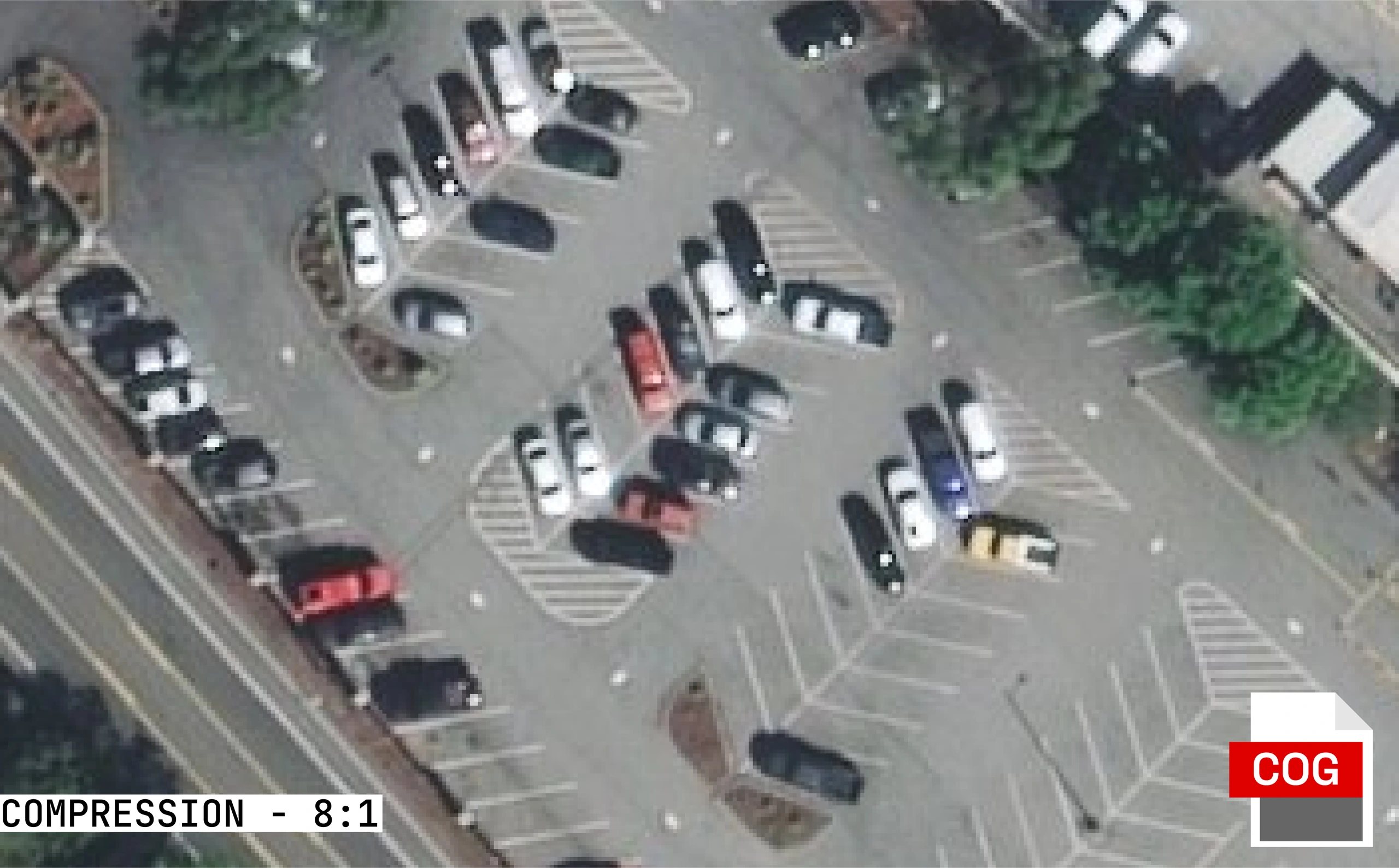 COG with 8:1 compression - balanced size and quality.