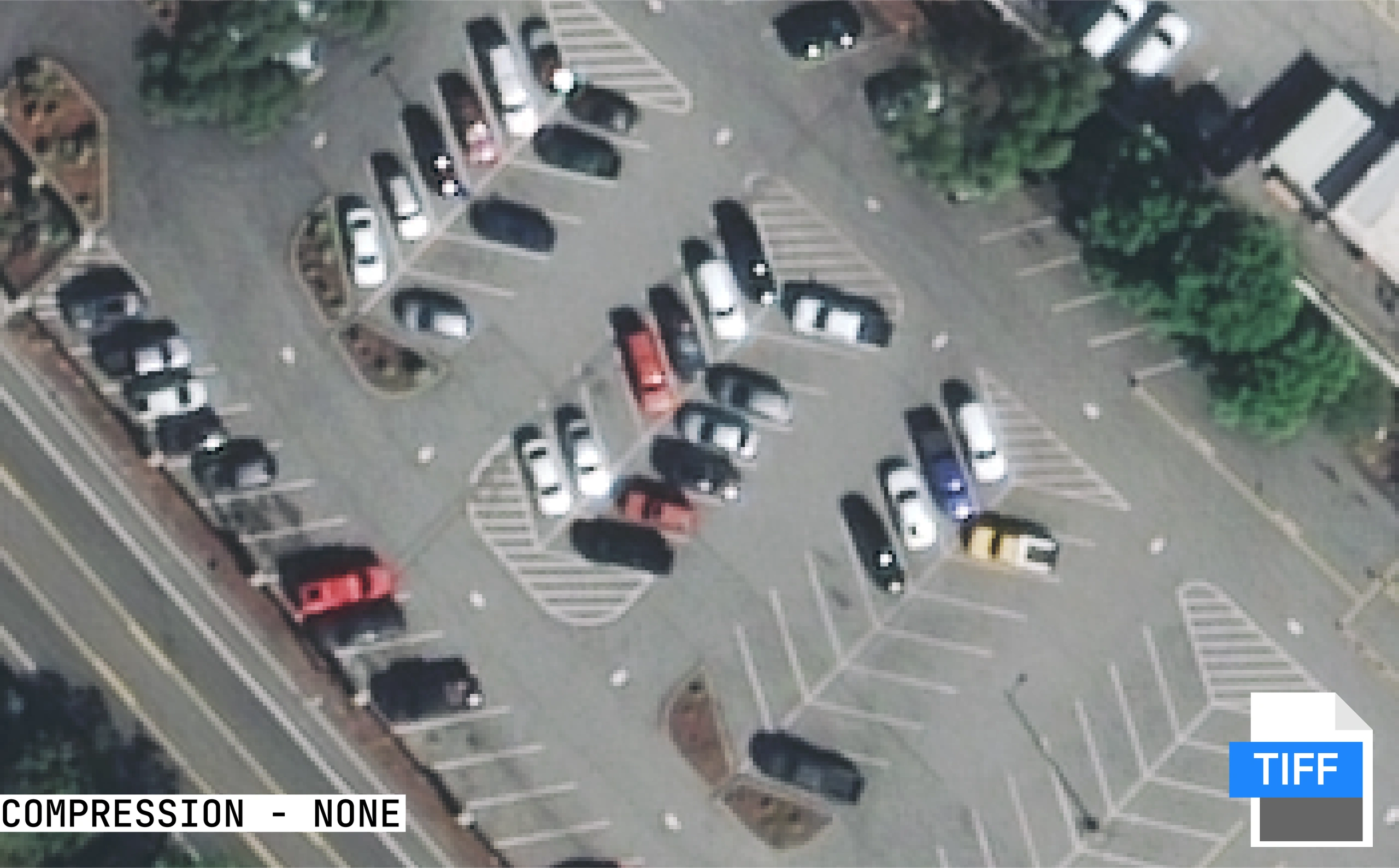 GeoTIFF format - uncompressed, largest file size, highest fidelity.