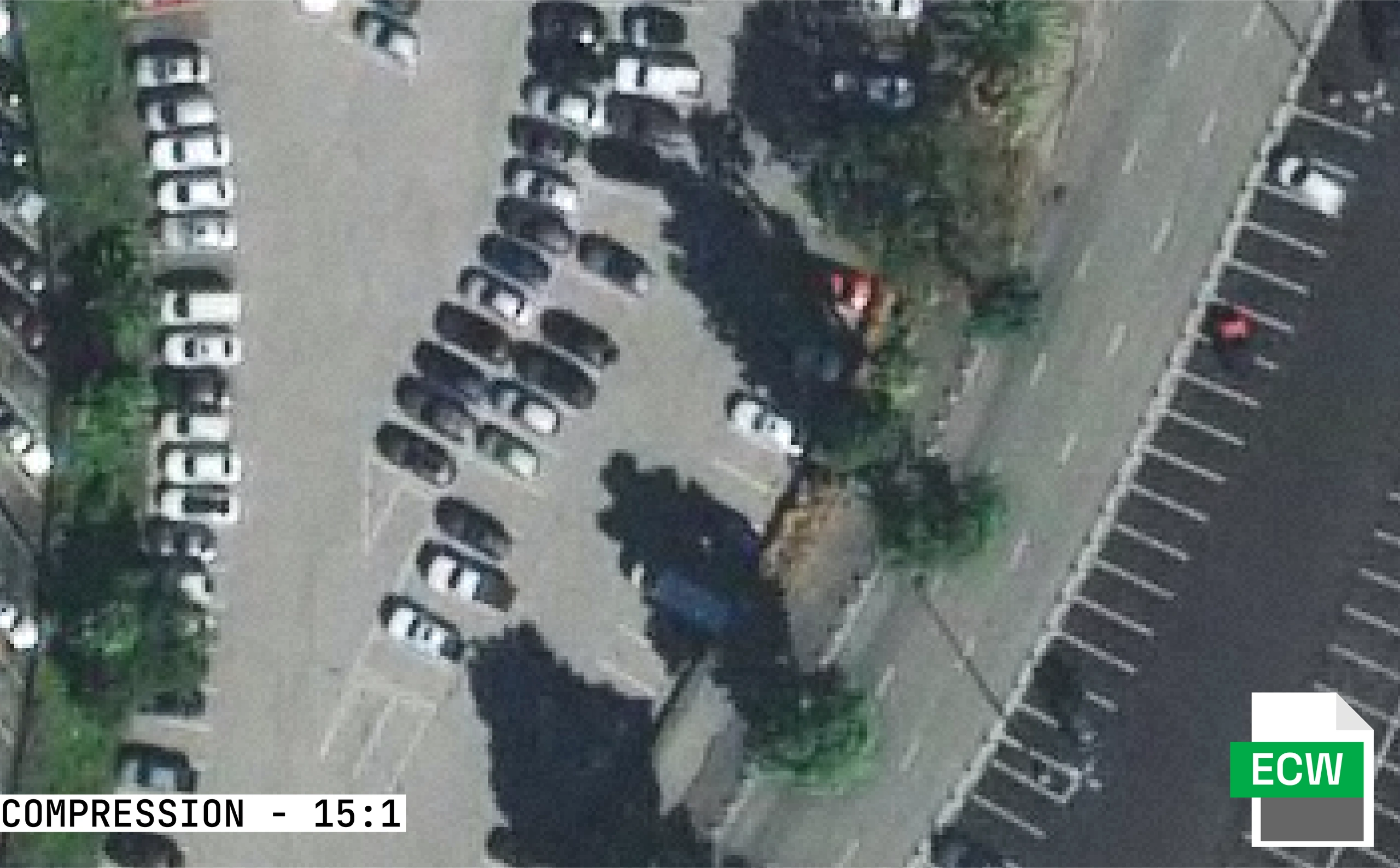 ECW with 15:1 compression.