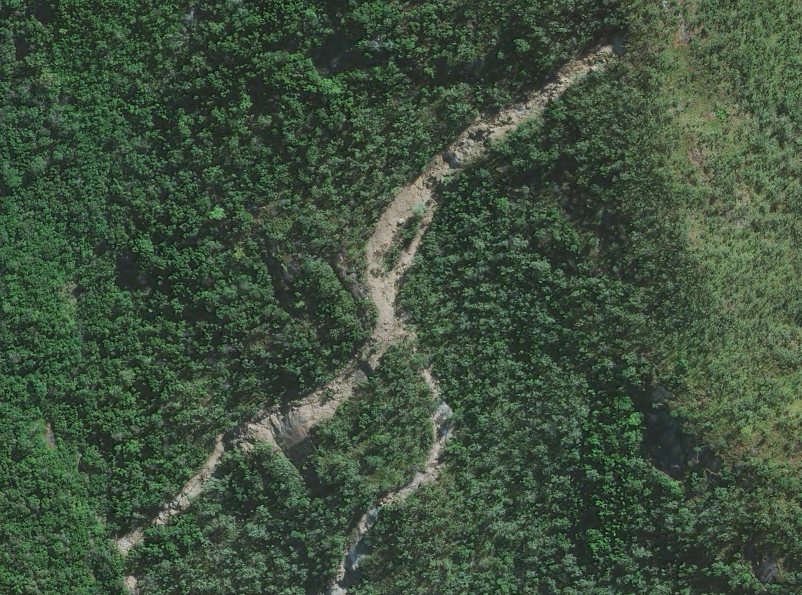 30cm satellite imagery of the same slope after a landslide, showing a pale scar and branching runout channels