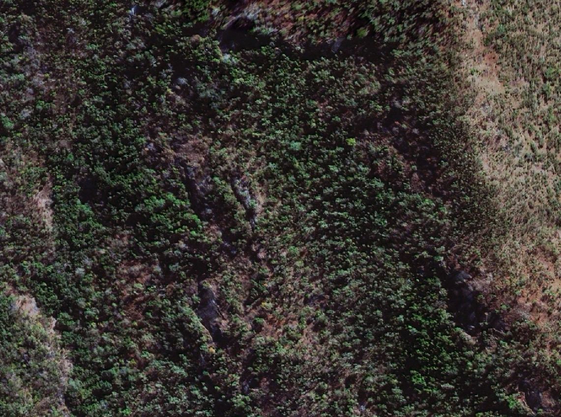 50cm satellite imagery of a forested slope before a landslide