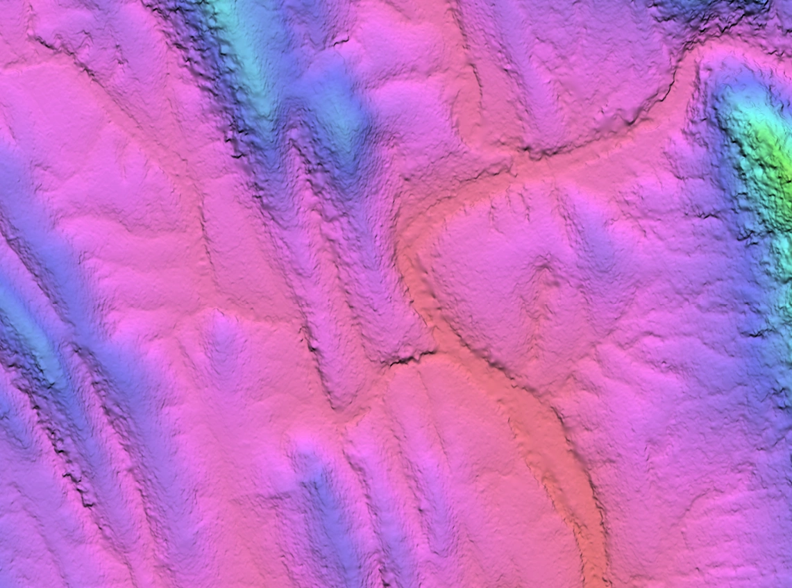 50cm satellite-derived terrain model of incised, meandering creeks between ridges