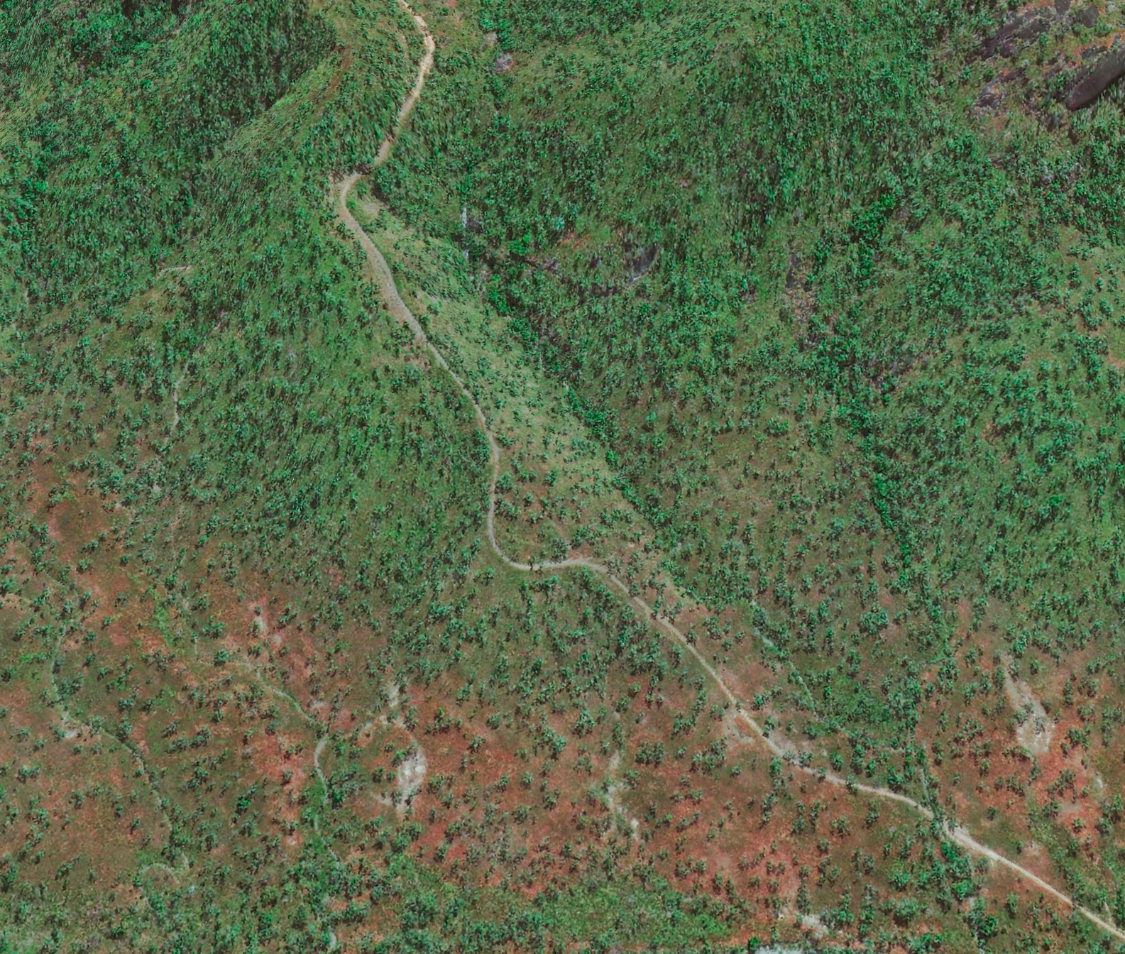 30cm satellite imagery of an unsealed access track winding down steep, timbered country