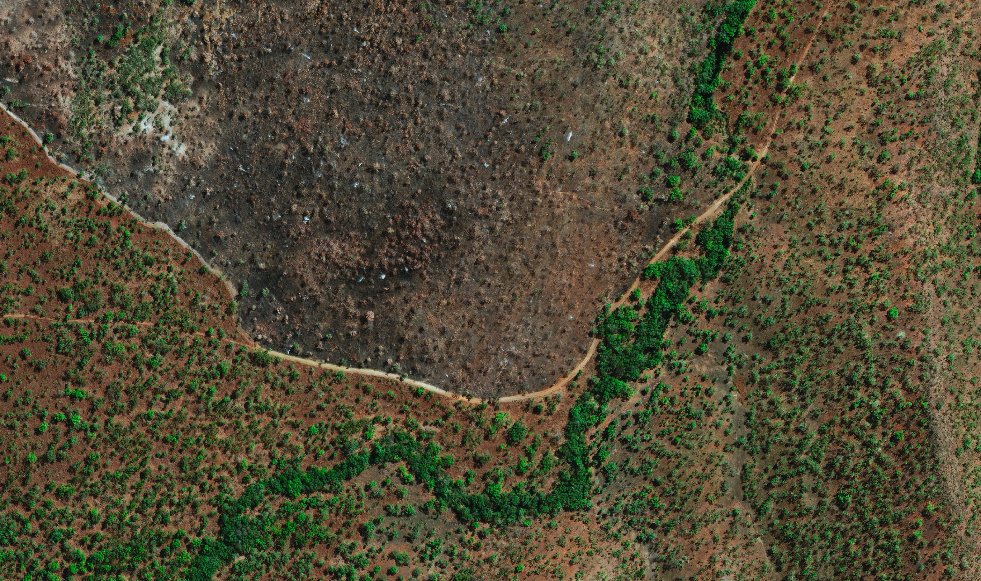 30cm WorldView Legion satellite image of a bushfire burn scar, with blackened ground bounded by a track and unburnt woodland along a drainage line