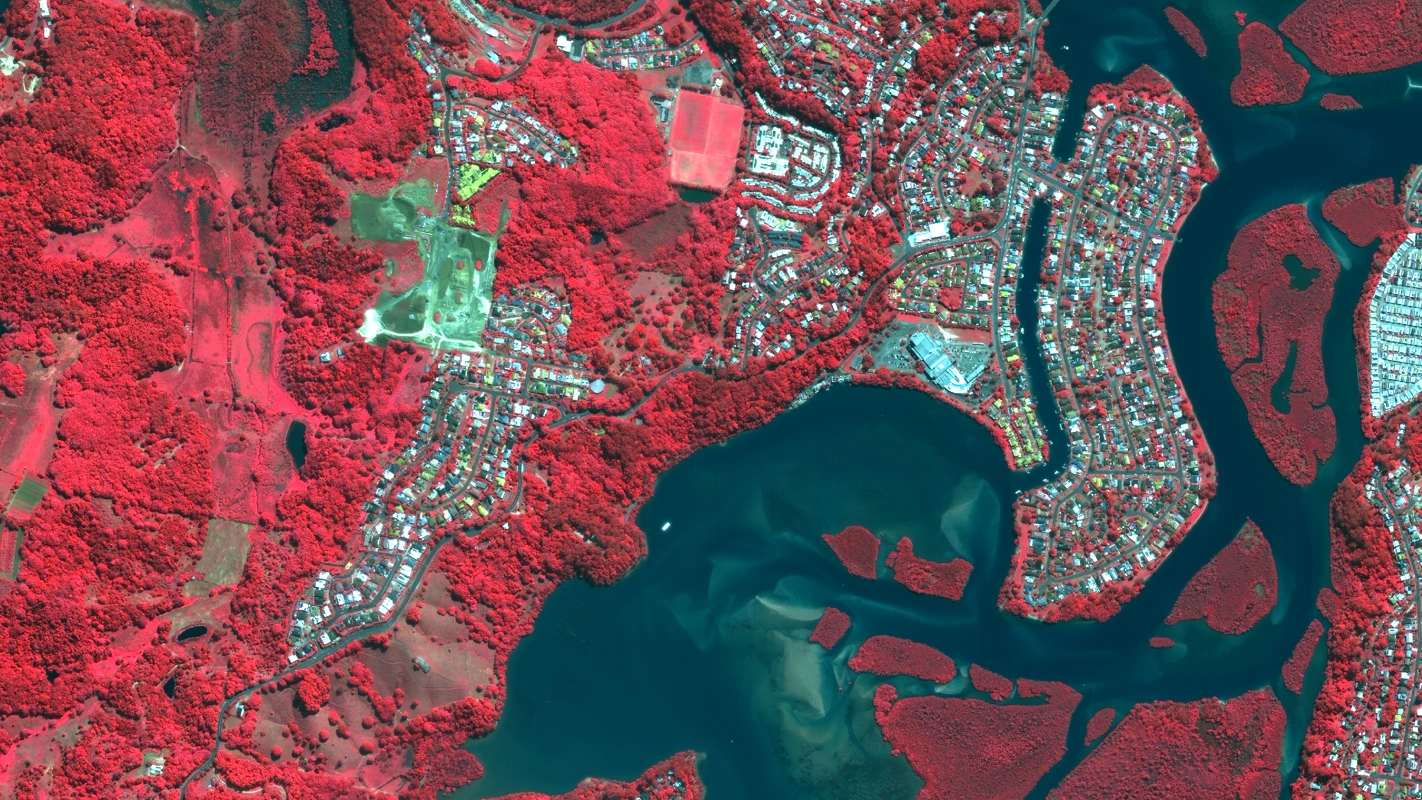 Colour-infrared satellite image of the same Tweed estuary area, with vegetation shown in red