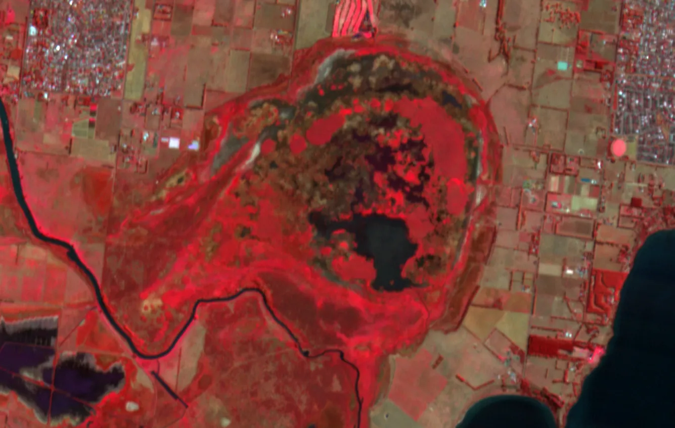 Wyvern infrared composite emphasising vegetation signals around Geelong.