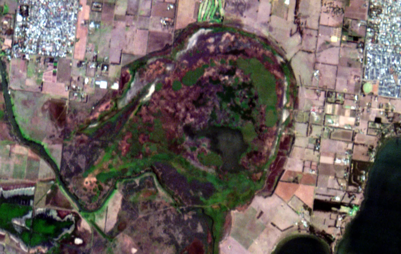 True-colour Wyvern multispectral composite over Geelong highlighting urban context.