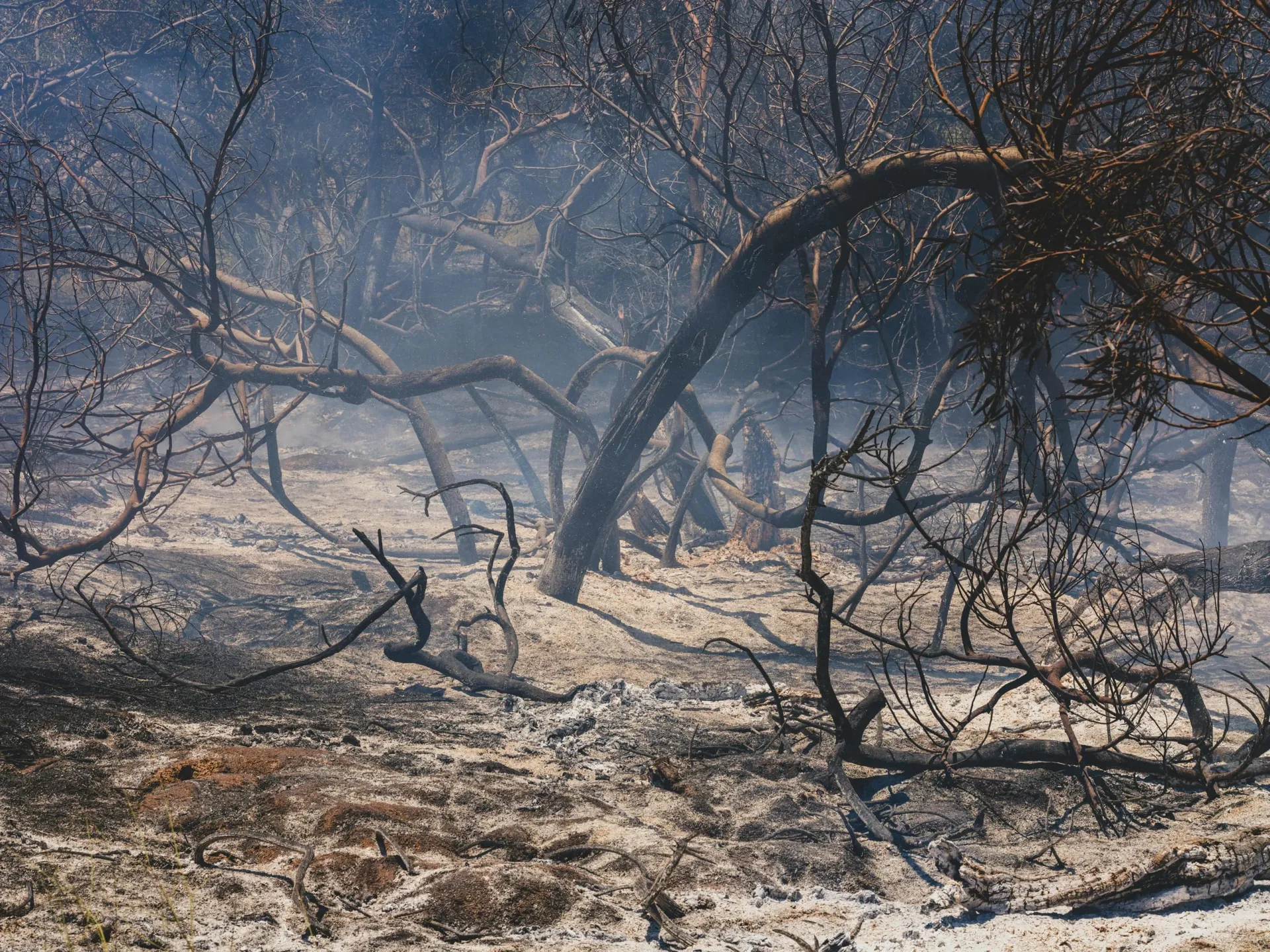 Fire scar across a bushland landscape - captured from satellite